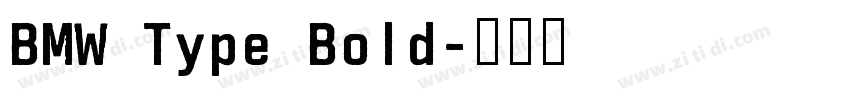 BMW Type Bold字体转换